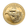 gold-coins-coin-American-Eagle-1-ounce-gold-obverse