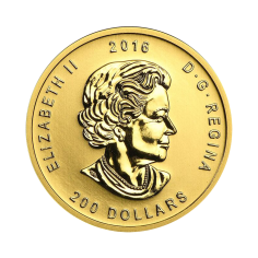 gold coin call of nature grizzly 1 oz obverse 2