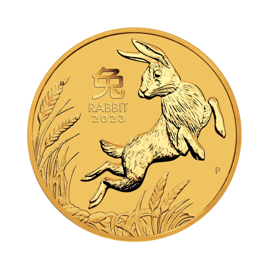 gold coin year of the rabbit 2023 1.2 oz reverse