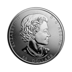 silver-coin-canadian-maple-leaf-10-oz-obverse 2