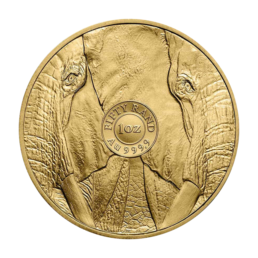 gold coin big five elephant 1 ounce obverse