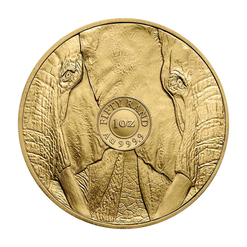 gold coin big five elephant 1 ounce obverse