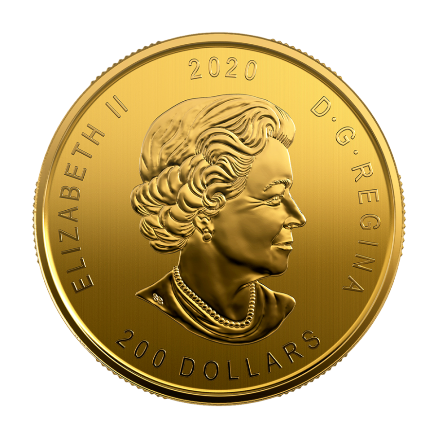 Gold Coin "Call of Nature" – 1 ounce – obverse