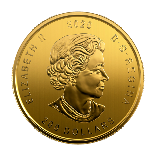Gold Coin "Call of Nature" – 1 ounce – obverse