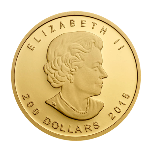 gold coin call of nature puma 1 ounce obverse