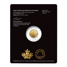 gold coin - valuable Canadian maple leaf - 1/10 ounce - package 1 2