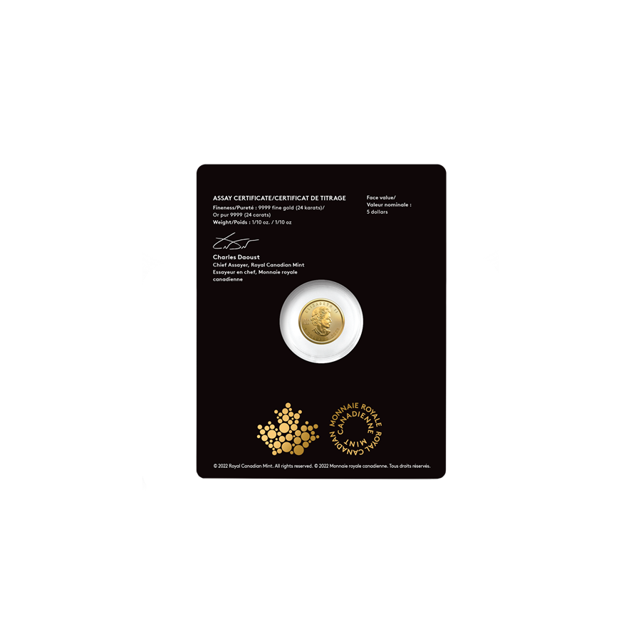 Gold Coin - Rare Canadian Maple Leaf - 1/10 Ounce - Pack of 2