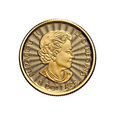 Gold Coin: Polar Bear, 1/10 Ounce, Reverse 2