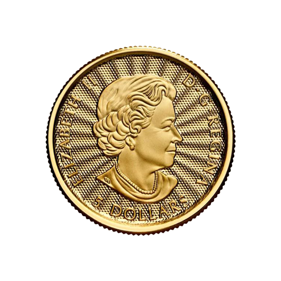 gold-coin-polar-bear-1-10-ounce-obverse