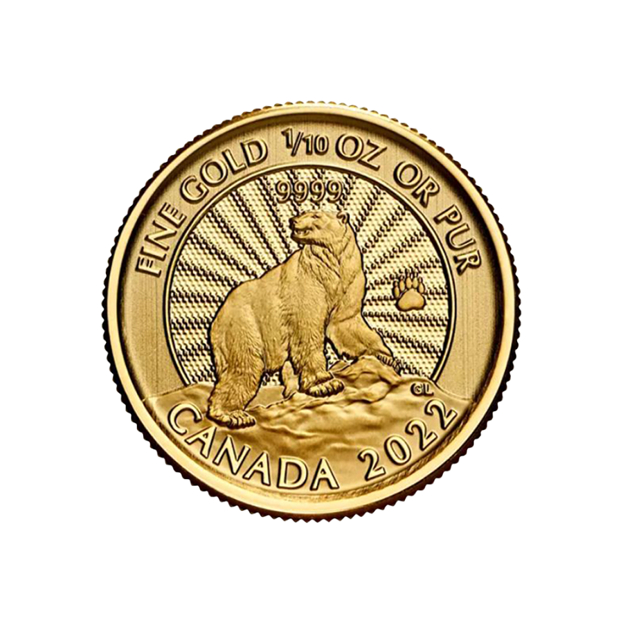 Gold Coin: Polar Bear, 1/10 Ounce, Reverse Side