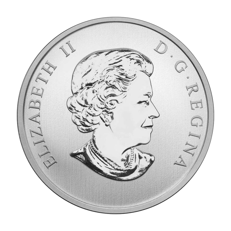 coin-025-cad-carolina-duck-2013-obverse