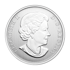 coin-025-cad-duck-stone-2014-reverse 2