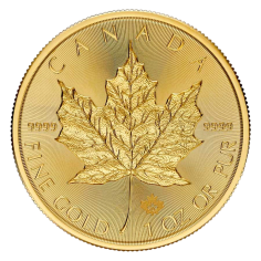 gold coin Canadian maple leaf 1 ounce current year reverse