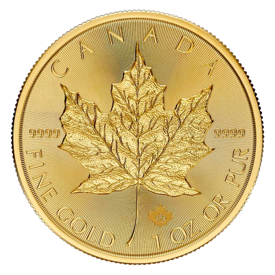 gold coin Canadian maple leaf 1 ounce current year reverse