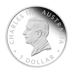 silver-coin-best-wishes-for-your-wedding-1-ounce-2024-reverse2 2
