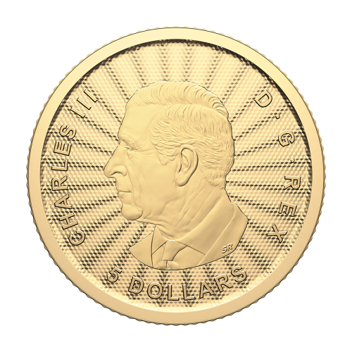 Gold Coin: Polar Bear 2024, 110 Ounces, Obverse