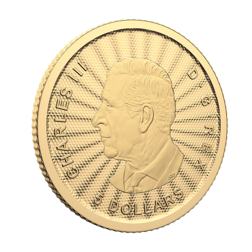 Gold Coin - Polar Bear - 2024 - 110 Ounces - Obverse 2