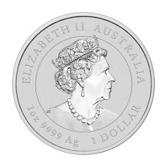 silver coin year of the rabbit 2023 1 ounce reverse 2