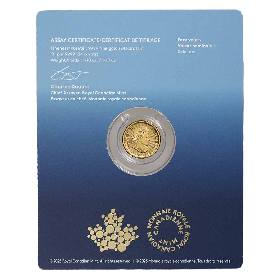 gold-coin-polar-bear-2023-1-10-ounces- (3)