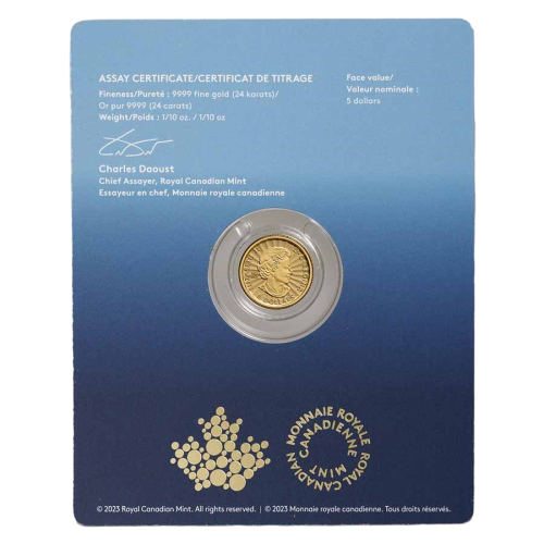 gold-coin-polar-bear-2023-1-10-ounces- (3)
