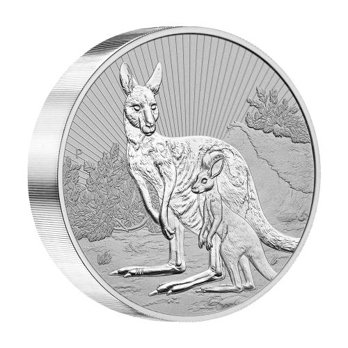 silver-coin-kangaroo-with-joey-10-ounces-2023-reverse2