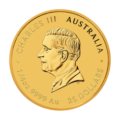 2025 Year of the Snake 14-Ounce Gold Coin - Reverse 1 2
