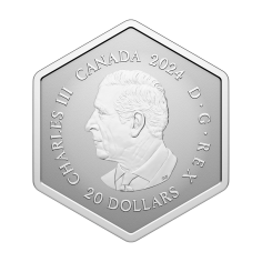 silver-coin-snowflake-with-crystal-2024-reverse (3) 2