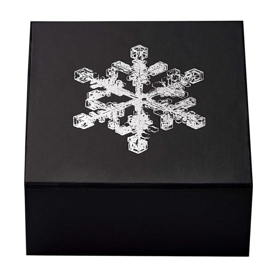 silver-coin-snowflake-with-crystal-2024-packaging (1)