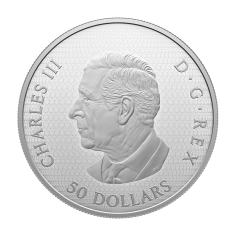 silver coin 50 CAD reed and lily 2024 reverse 2
