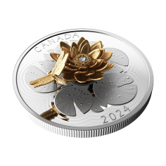 silver-coin-50-cad-reed-and-lily-2024-reverse