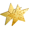 5-x-1-g-gold-bar-combibar-star-shiny-2