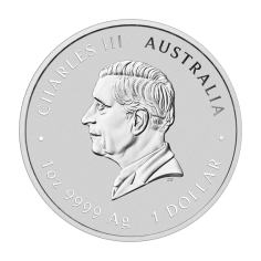 Silver Coin - Australian Year of the Snake 2025 - Gold-Plated Reverse (1) 2