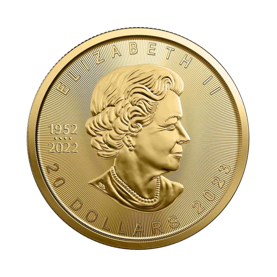 gold-coins-coin-maple-leaf-1-2-ounce-gold-obverse