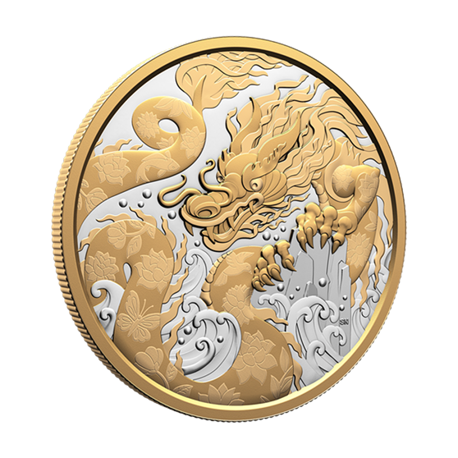 Silver coin Water Dragon 2025 - 24-hour shipping!