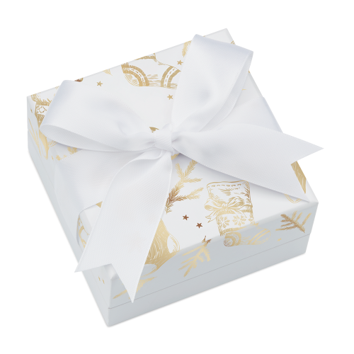 silver-coin-night-before-Christmas-2023-packaging (2)