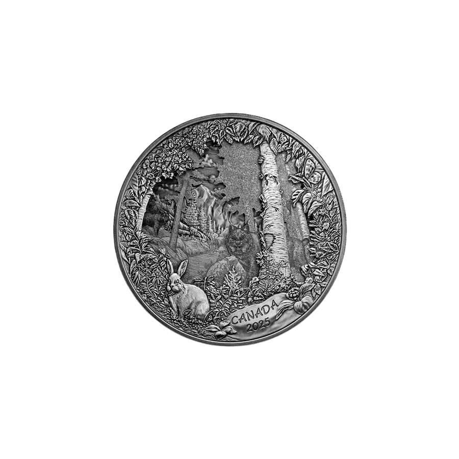 silver-coin-predator-or-prey-in-shadow-box-reverse (1)