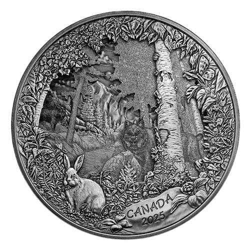 silver-coin-predator-or-prey-in-shadow-box-reverse (1)