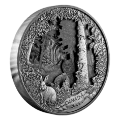 silver-coin-predator-or-prey-in-shadow-box-reverse (2)