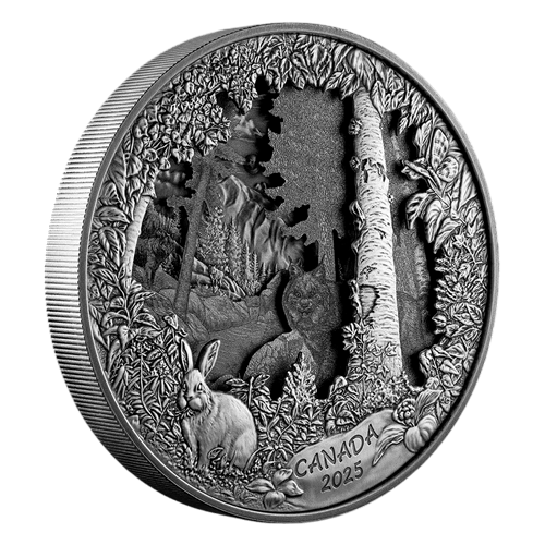 silver-coin-predator-or-prey-in-shadow-box-reverse (2)