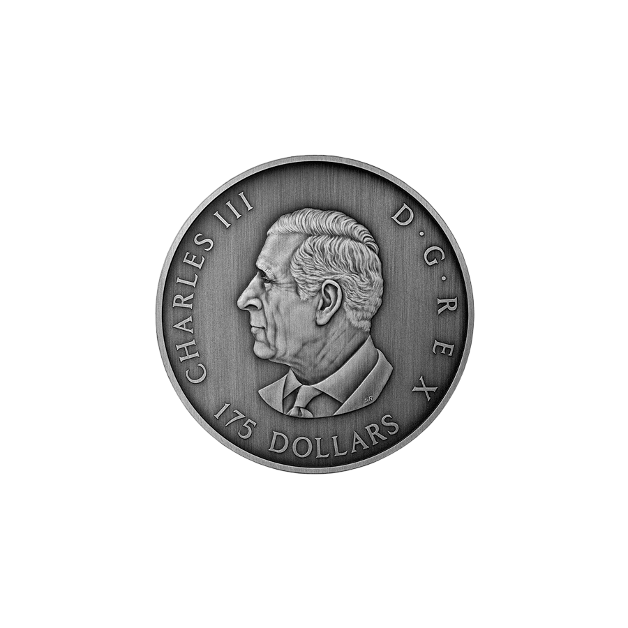 silver-coin-predator-or-prey-in-shadow-box-obverse