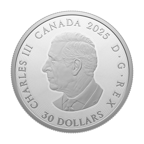 silver-coin-zodiac-signs-2025-2-ounces-obverse