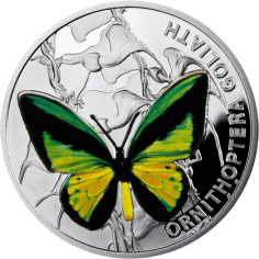 silver-coin-butterflies-ornithoptera-goliath-reverse