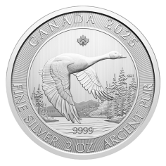 silver-coin-ges-canadian-2-ounces-of-silver-reverse
