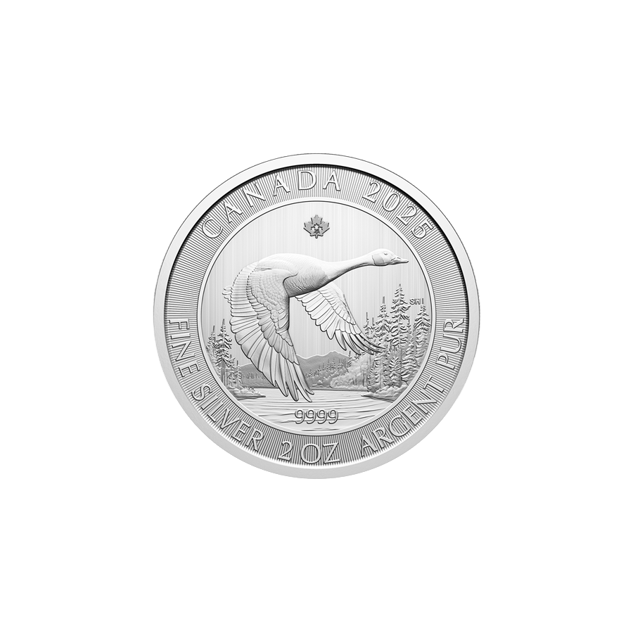 silver-coin-ges-canadian-2-ounces-of-silver-reverse