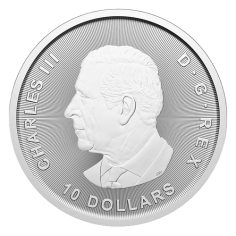 silver-coin-ges-canadian-2-ounces-of-silver-reverse 2