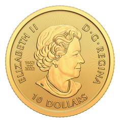 gold coin Canadian bison 1.4 ounces reverse 2