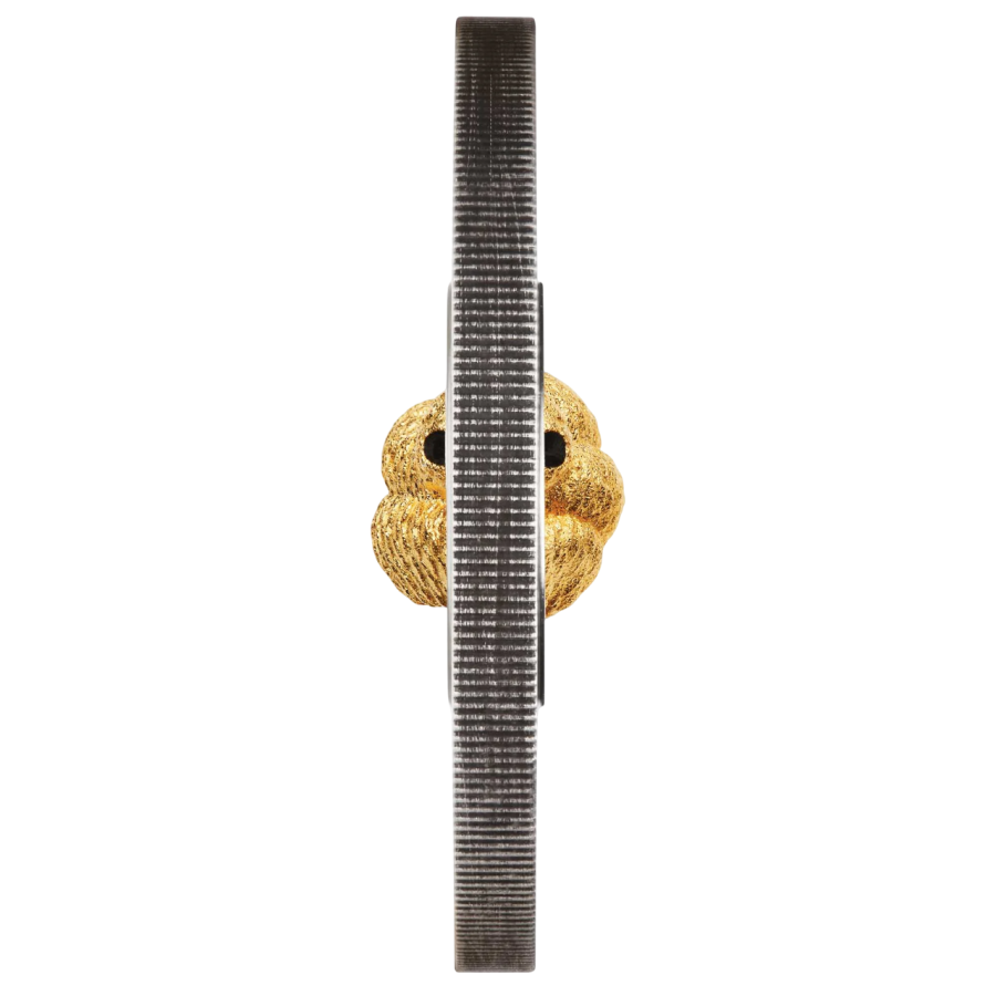 silver coin with rotating center, Year of the Snake 2025