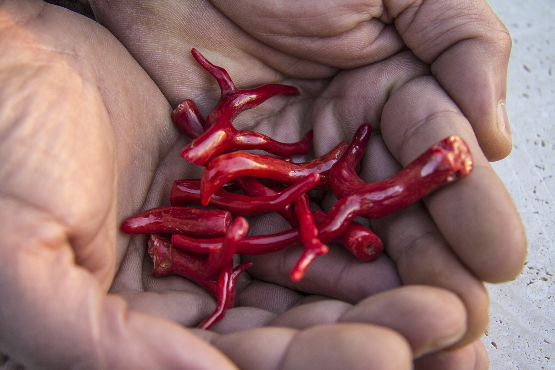 KORALE – BIŻUTERIA ZE SZKIELETU MAŁYCH ZWIERZĄTEK